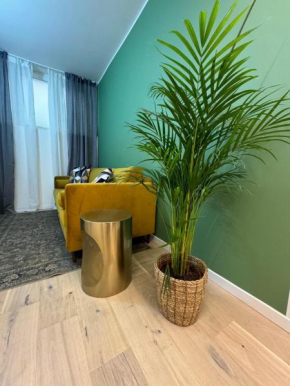 Urban Green Suite